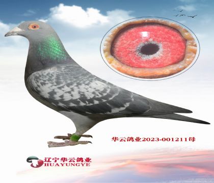 ���W������(j��)�_��ֱ�ӡ��O��X������С�Ͽ�ֱ�OŮ