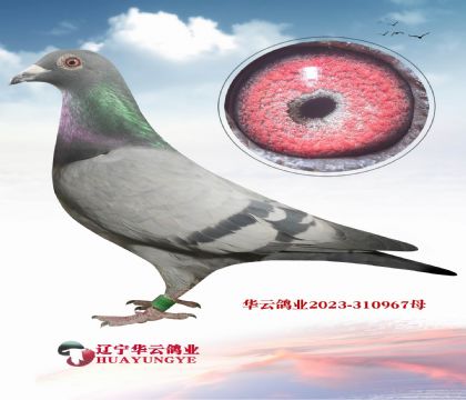 ���W�̖(h��o)��ֱ�OX�W�̖(h��o)�OŮ