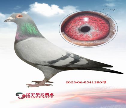 ��Ư����?sh��)ϡ�X�mū ���f��ȫ��