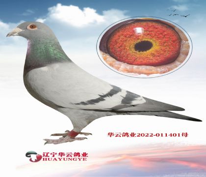 ��(hu��)�o�㶨��ĳ���(j��)�N��X�����ܑ�(zh��n)�������܄ٵ�ɣ��ʿ