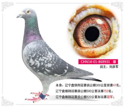 �����̽�������빫��520�����վ���ھ�   ��	