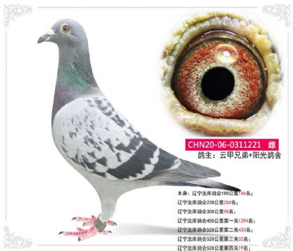 ����������520������Ĺ�19��  ��	