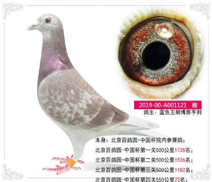 ��ɫ����-�����ٸ�԰-�й������Ĺ�550����72��  ��	