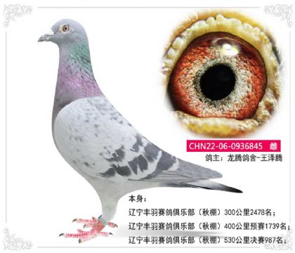 ��������������ֲ������530�������987��   ��