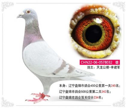 ��������-���--�����̽��и��˫���ۺ�234��  ��	