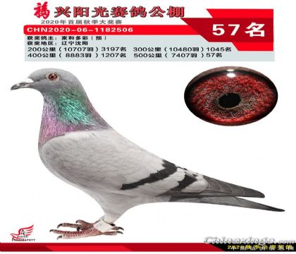 ���������������빫��500����57��  ��	