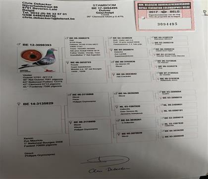 ԭʼѪ�y(t��ng)��