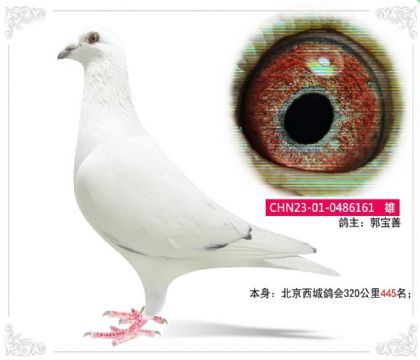 ������������(hu��)320����445��  ��	