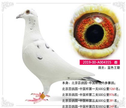 �{(l��n)ɫ����--���������@-�Ї��������P(gu��n)550����249��