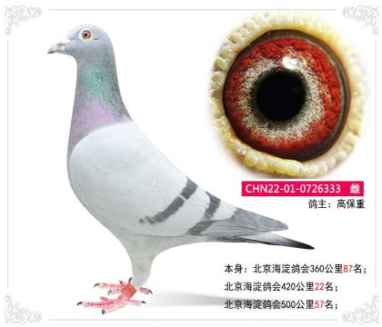 ������������(hu��)500����57��   ��	