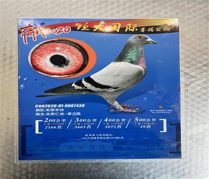 ����Ƭ��뷢��