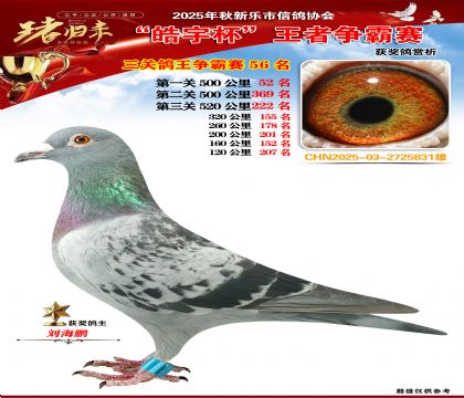 ������(zh��ng)�����P(gu��n)�C��56��