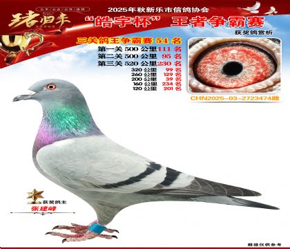 ������(zh��ng)�����P(gu��n)�C��54��