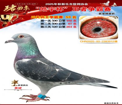 ������(zh��ng)�����P(gu��n)�C��53��