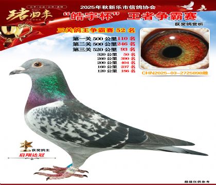 ������(zh��ng)�����P(gu��n)�C��52��