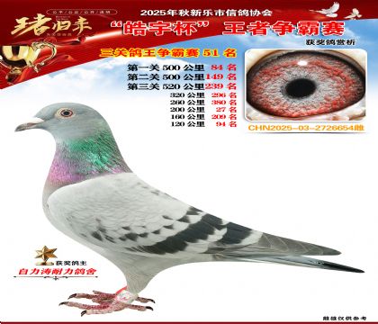 ������(zh��ng)�����P(gu��n)�C��51��