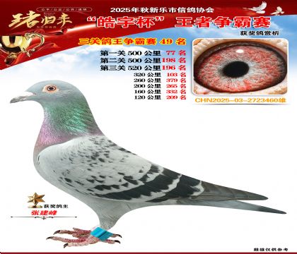 ������(zh��ng)�����P(gu��n)�C��49��