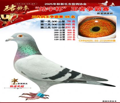 ������(zh��ng)�����P(gu��n)�C��48��