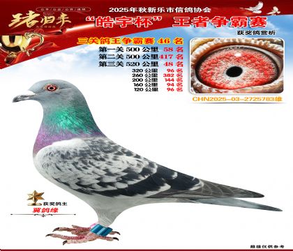 ������(zh��ng)�����P(gu��n)�C��46��