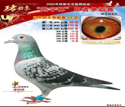 ������(zh��ng)�����P(gu��n)�C��44��