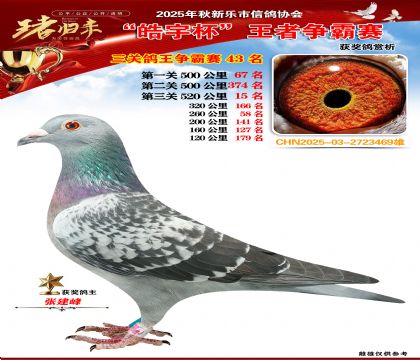 ������(zh��ng)�����P(gu��n)�C��43��