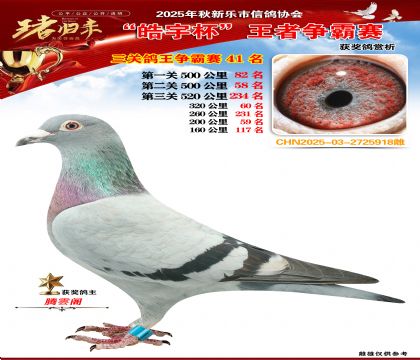 ������(zh��ng)�����P(gu��n)�C��41��