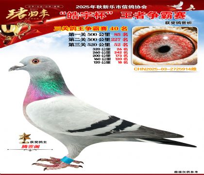 ������(zh��ng)�����P(gu��n)�C��40��