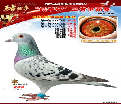 ������(zh��ng)�����P(gu��n)�C��39��