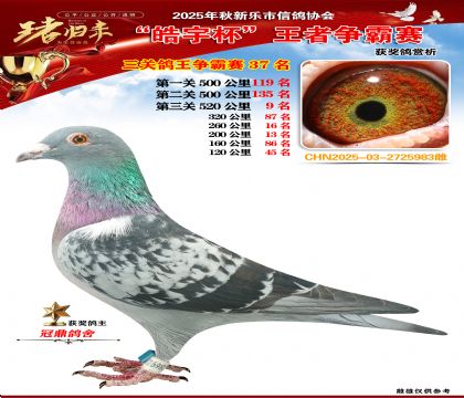 ������(zh��ng)�����P(gu��n)�C��37��