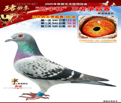 ������(zh��ng)�����P(gu��n)�C��36��