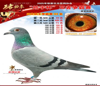 ������(zh��ng)�����P(gu��n)�C��33��