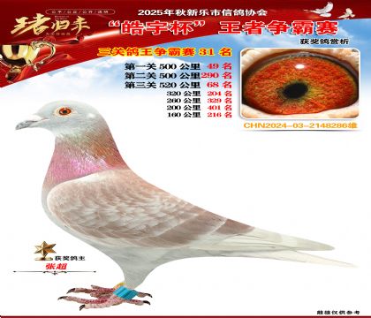 ������(zh��ng)�����P(gu��n)�C��31��