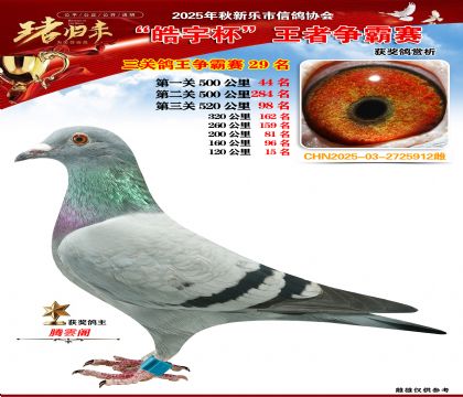 ������(zh��ng)�����P(gu��n)�C��29��