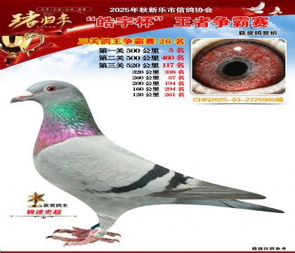 ������(zh��ng)�����P(gu��n)�C��26��