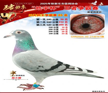 ������(zh��ng)�����P(gu��n)�C��25��