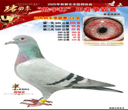 ������(zh��ng)�����P(gu��n)�C��24��