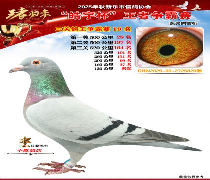 ������(zh��ng)�����P(gu��n)�C��19��