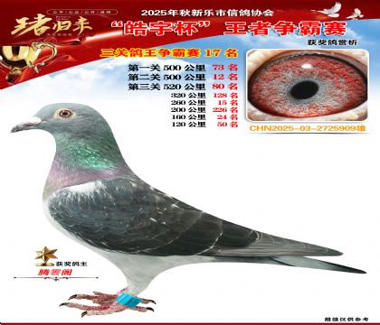 ������(zh��ng)�����P(gu��n)�C��17��