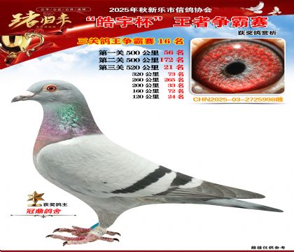 ������(zh��ng)�����P(gu��n)�C��16��