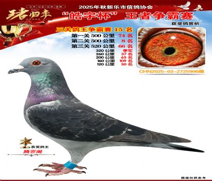 ������(zh��ng)�����P(gu��n)�C��15��