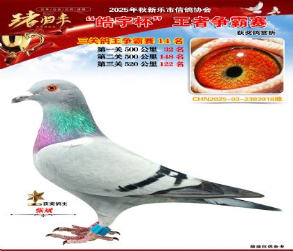 ������(zh��ng)�����P(gu��n)�C��14��