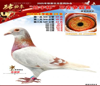 ������(zh��ng)�����P(gu��n)�C��13��