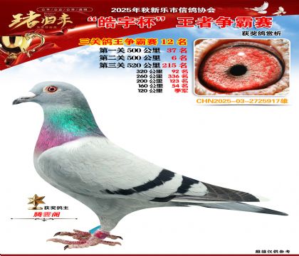 ������(zh��ng)�����P(gu��n)�C��12��