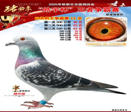 ������(zh��ng)�����P(gu��n)�C��11��