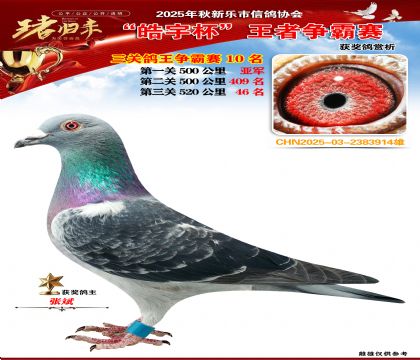 ������(zh��ng)�����P(gu��n)�C��10��