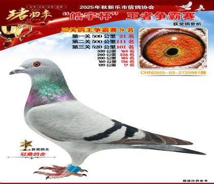 ������(zh��ng)�����P(gu��n)�C��9��