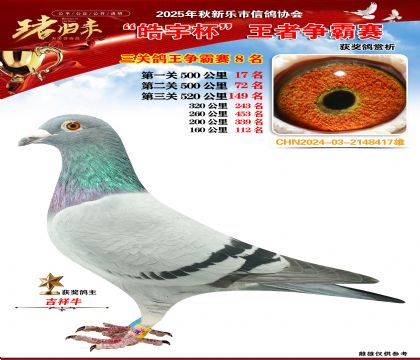 ������(zh��ng)�����P(gu��n)�C��8��