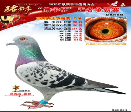 ������(zh��ng)�����P(gu��n)�C��7��