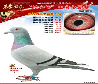 ������(zh��ng)�����P(gu��n)�C��6��