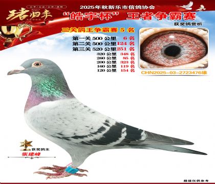 ������(zh��ng)�����P(gu��n)�C��